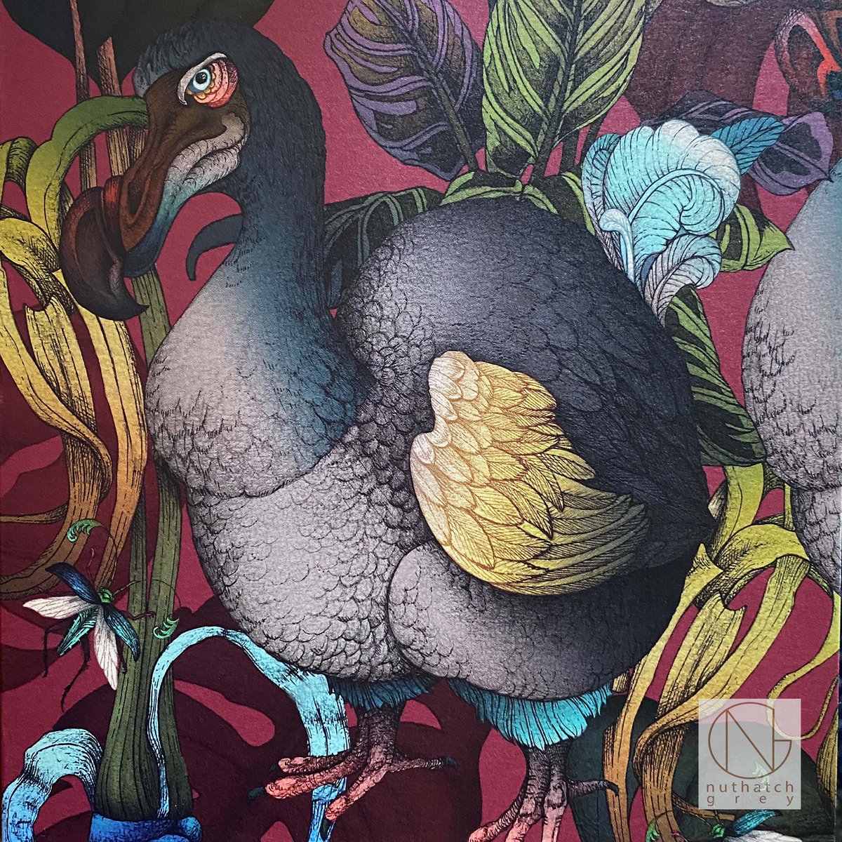 Nuthatch_Grey's tweet photo. @sarahbeeny your gorgeous @everhotcookers needs one of my beautiful 100% Cotton Tea Towels…it would bring back some of your missing aubergine tones! 😉 https://t.co/PcQ61AFqJO