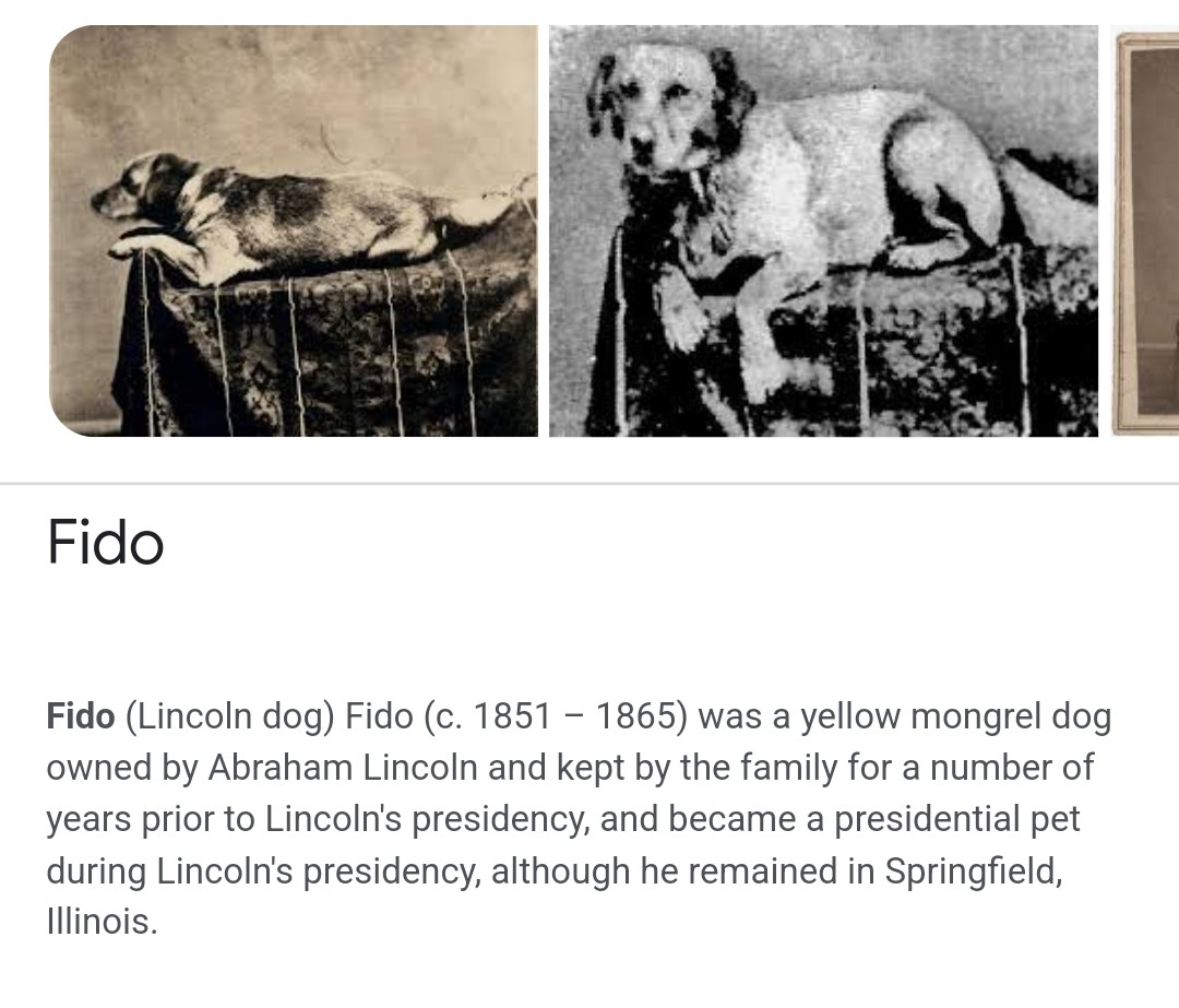 gailhamby's tweet photo. @WayTooEarly Just wanted to say #Lincoln had a #Dog his name was Fido. Fido was the first presidential dog to ever be photographed. https://t.co/uGWk7kmLGR