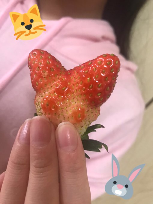 Twitterのコスプレ画像31