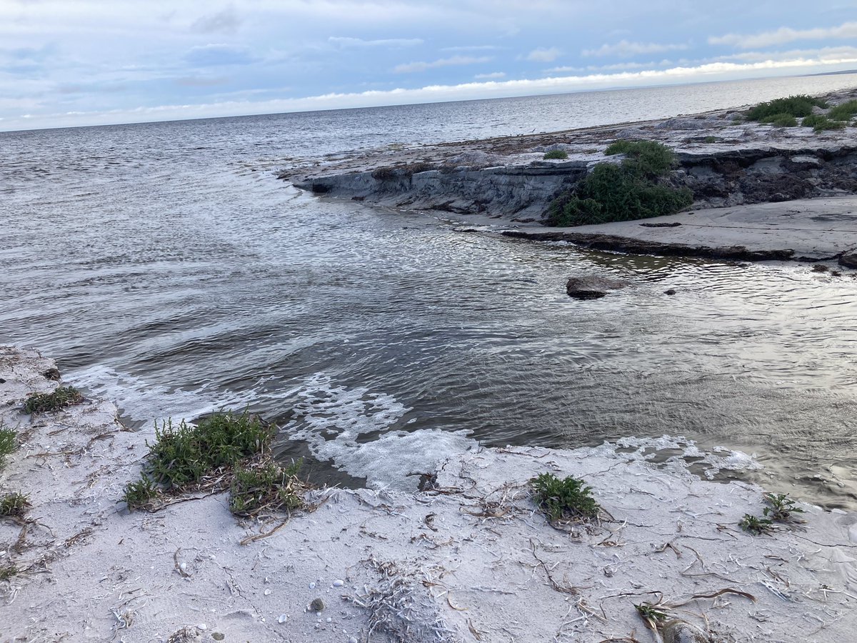 Roger Lienert tweet media