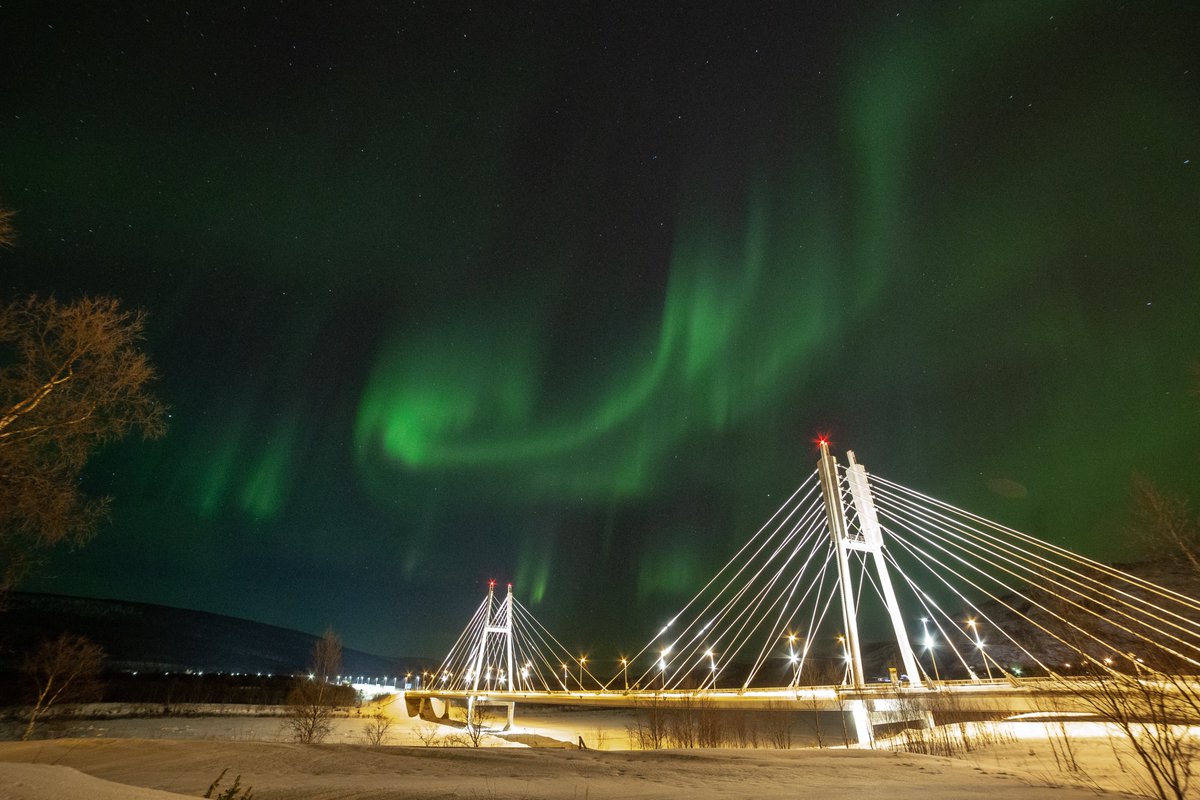 The Northern Lights dancing over the Sámi Bridge in Utsjoki ✨

#northernlights #lapland #NightPhotography #spaceweather