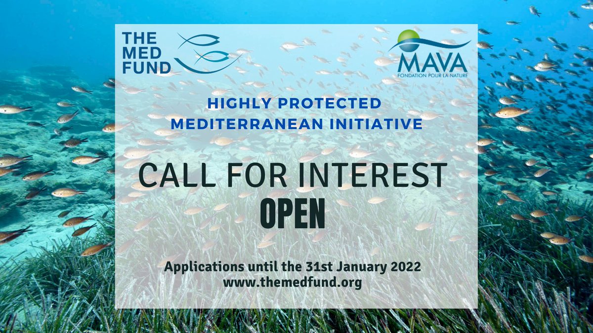 📣Last days to send your application ! 
With the support of @MavaFdn.