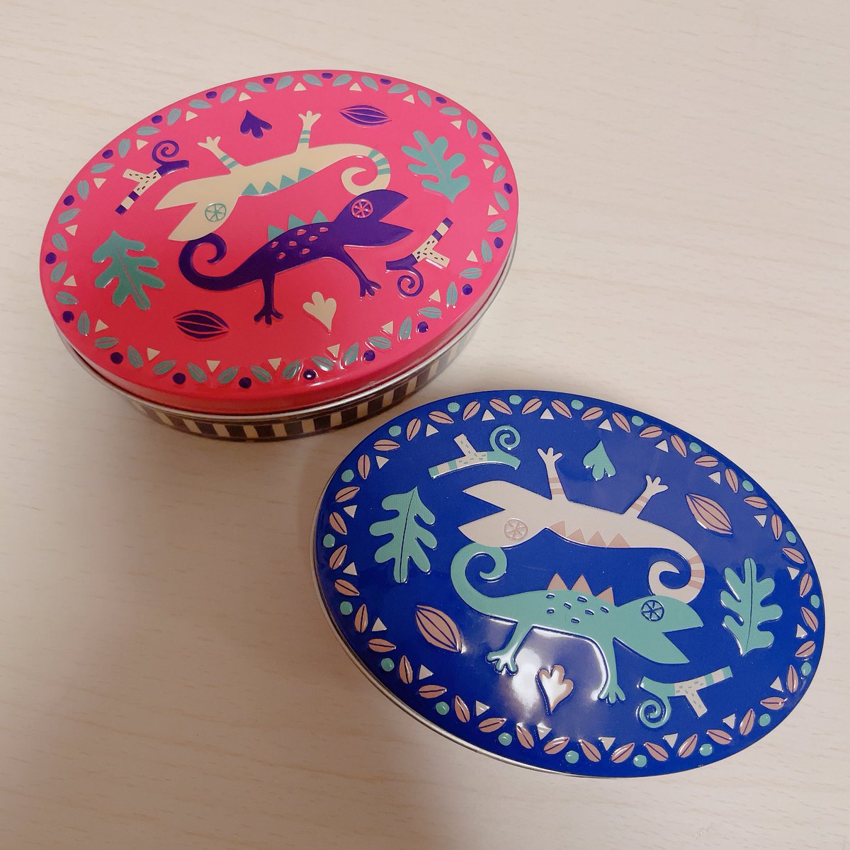 トカゲ缶🦎✨