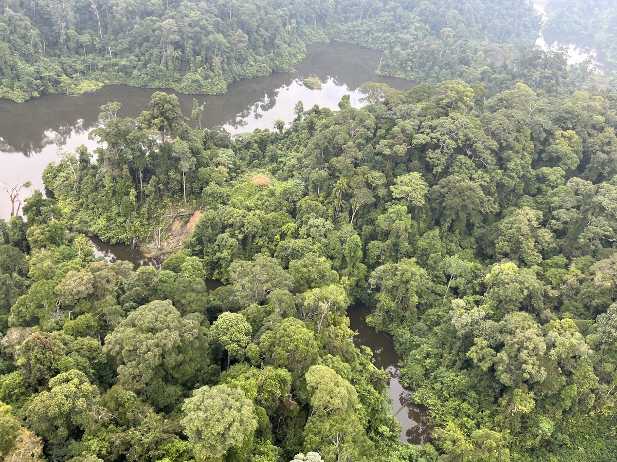 Gaz🇬🇧 tweet media