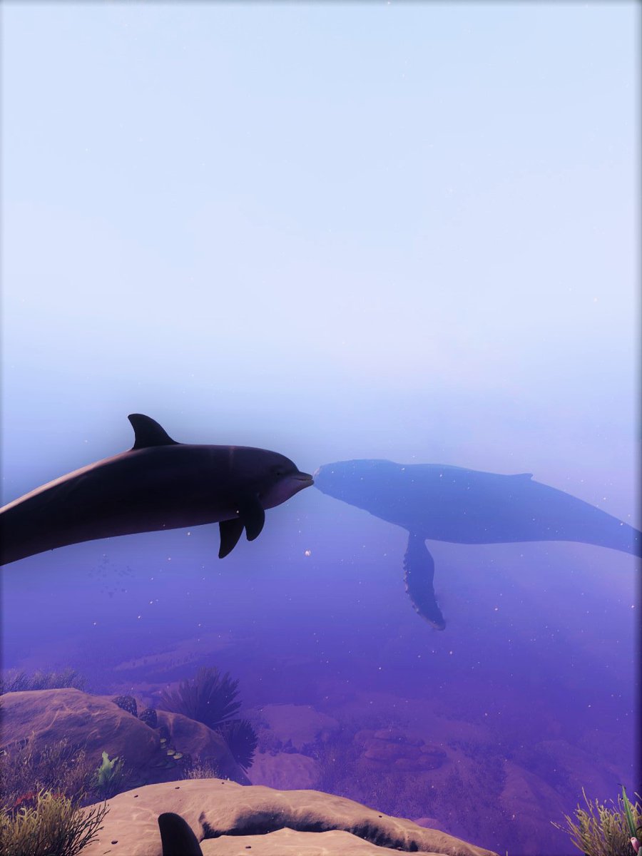 spread_her_wing's tweet photo. #TCCTwoofakind
"Sealed with a Loving Kiss"
#BeyondBlueGame #VirtualPhotography #TheCapturedCollective #VPCONTEXT #VGPUnite #ThePhotoMode #ArtisticofSociety #GamerGram #WorldofVP
#TheMoodChallenge with:
Curtis Mayfield / Between You Baby and Me
https://t.co/LfPfC6oauc https://t.co/bA27KhaHbf