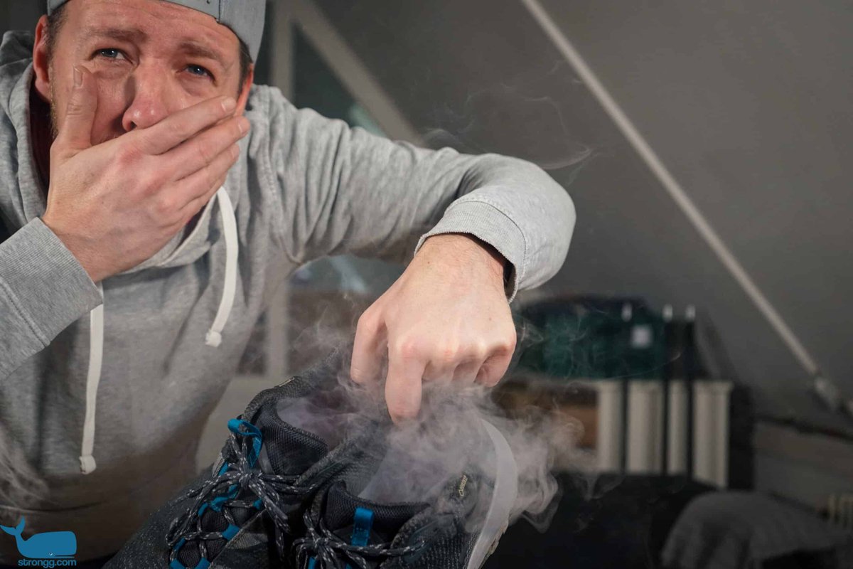 Shop Hosting tweet media