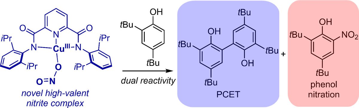 Involvement of a Formally Copper(III) Nitrite Complex in Proton-Coupled Electron Transfer and Nitration of Phenols pubs.acs.org/doi/10.1021/ac… <a href="/TolmanLab/">TolmanLab</a> and Bouchey <a href="/InorgChem/">Inorganic Chemistry</a> #copper #nitrite #PCET #nitration #phenols