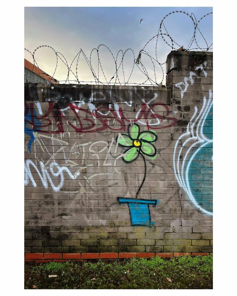 Winter flower in Dundee (Jan. 2022)
.
.
.
.
. #dundee #scotland #streetart #graffitiart @visitdundee #dundee.in.pictures #documentingbritain #lensculture #life_is_street @scottishstreetart #scottishstreetart #dundeestreetart #streetartdundee #streetartsc… instagr.am/p/CZMPzTJM9kK/