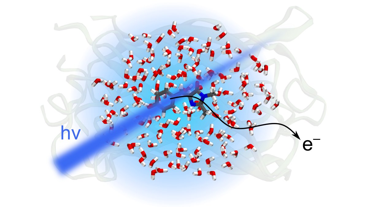 QPD_Lab (@qpd_lab) on Twitter photo Our joint paper with <a href="/FieldingGrpUCL/">Helen Fielding Group</a> on Liquid-microjet photoelectron spectroscopy of the Green Fluorescent Protein chromophore has been published in <a href="/NatureComms/">Nature Communications</a>! <a href="/MSU_1755/">Lomonosov MSU</a> <a href="/UCLChemistry/">UCL Chemistry</a> <a href="/FireflyQuantum/">Firefly Quantum Chemistry Software</a> disq.us/t/44oat27 Our joint paper with <a href="/FieldingGrpUCL/">Helen Fielding Group</a> on Liquid-microjet photoelectron spectroscopy of the Green Fluorescent Protein chromophore has been published in <a href="/NatureComms/">Nature Communications</a>! <a href="/MSU_1755/">Lomonosov MSU</a> <a href="/UCLChemistry/">UCL Chemistry</a> <a href="/FireflyQuantum/">Firefly Quantum Chemistry Software</a> disq.us/t/44oat27