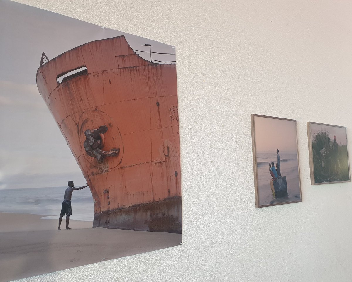 bu_ubo's tweet photo. Profitez de ces journées lumineuses pour découvrir les photos d'Eliott Verdier à la BU Lettres 🤩 @pluiedimages @UBO_UnivBrest https://t.co/QvhzD3VR3R