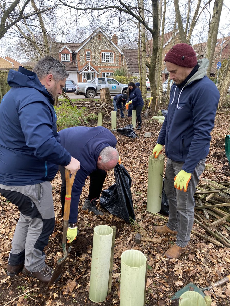 Danielle_B_CSR's tweet photo. @WatesGroup team based in @WokinghamBC are out today in The moors planting 200 trees mixture of Hawthorn, Dog Rose and Hazel tree whips with @TCVtweets @TCVBerkshire 🌳 #joininfeelgood #WatesSocialValue https://t.co/5nJGgu0Yvp