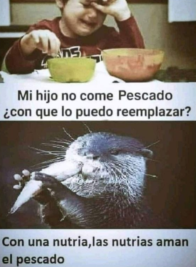 Pues si 😅