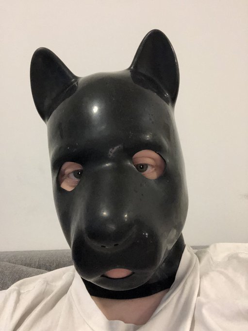 Rubber doogo vibes x3 *ruff ruff* https://t.co/EZcFolvqdq