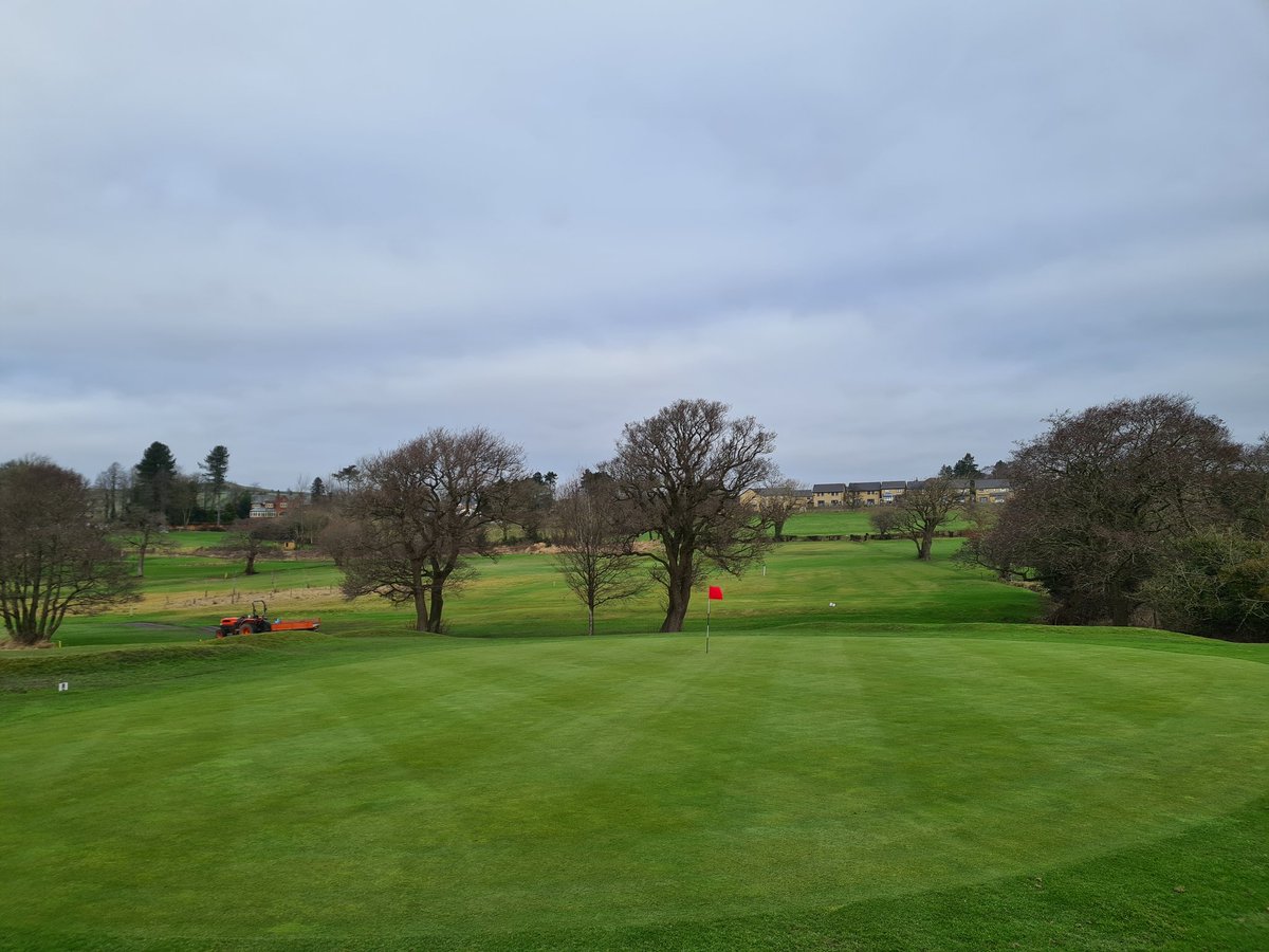 Nice to get the greens cut and fed this morning!