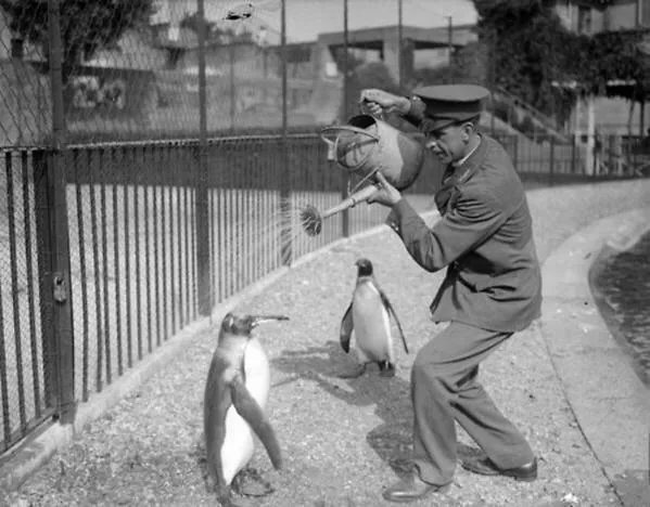 Historical Pics tweet media