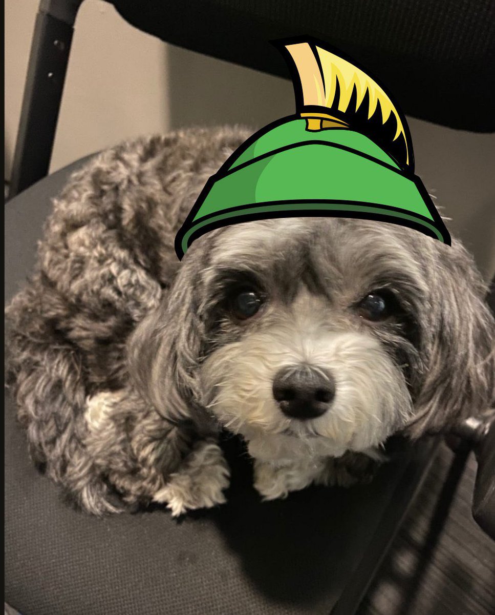 Marvin Inu tweet media