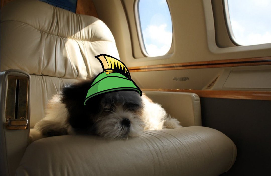 Marvin Inu tweet media