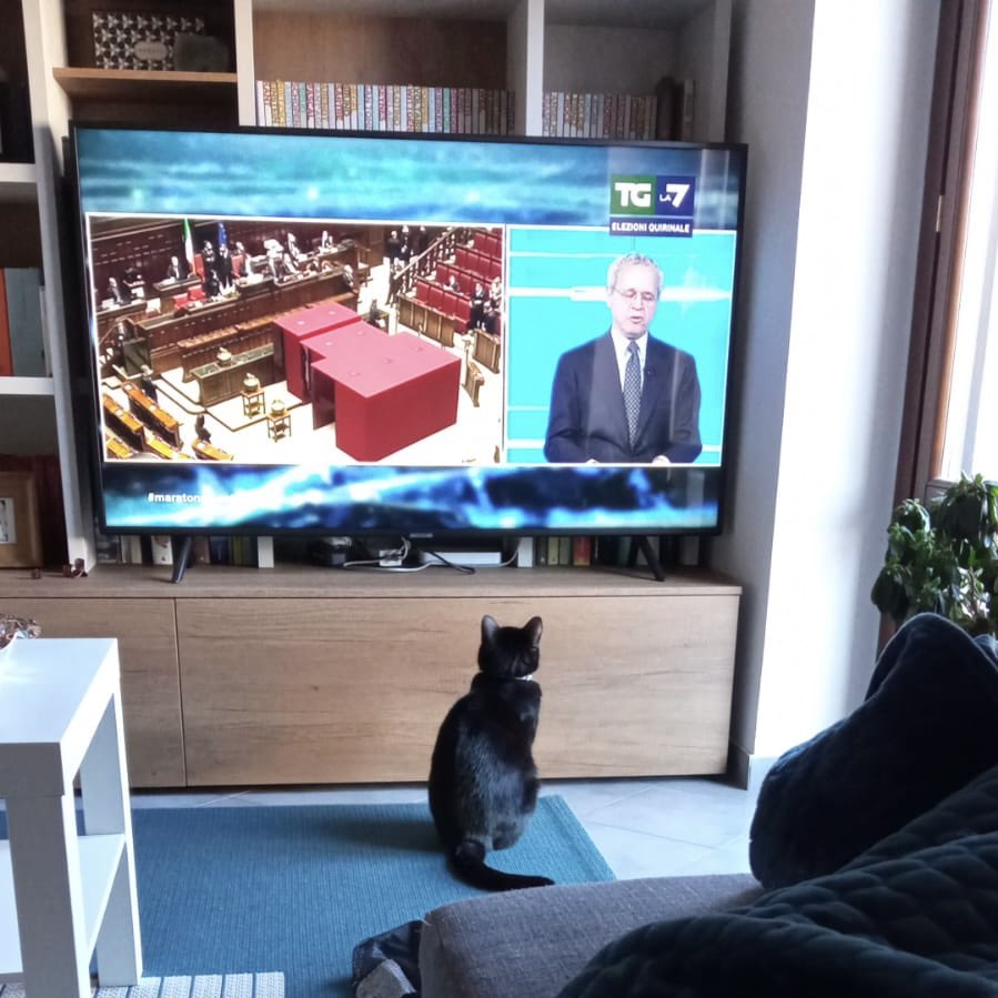_antoniomancuso's tweet photo. #mentana #MaratonaQuirinale @La7tv Tutti collegati e concentrati! https://t.co/173vAuhqdo
