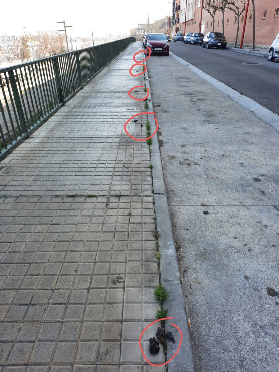 trombocid02's tweet photo. @LineaUtebo 
Éste es el estado de la calle Monlora. Vergonzoso. https://t.co/IZaBjLM29d