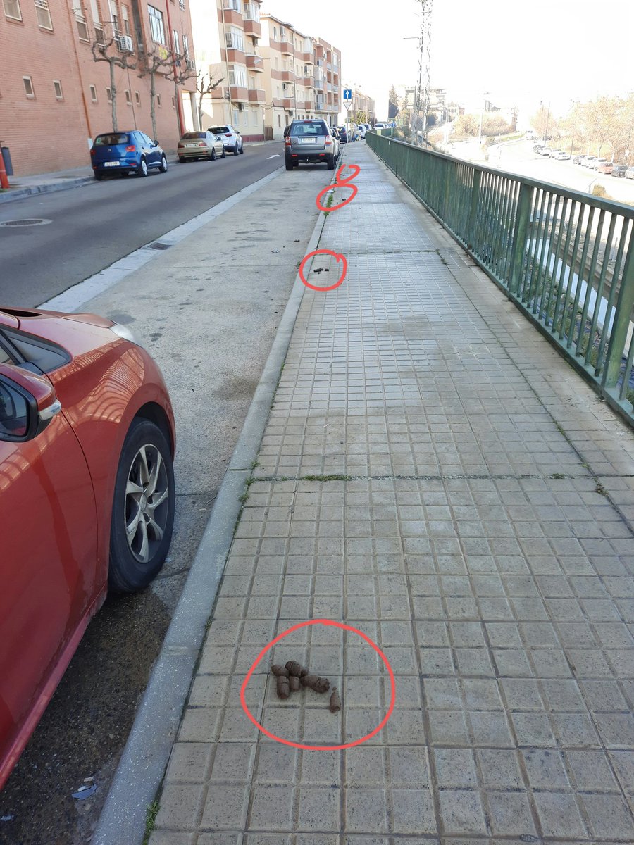 trombocid02's tweet photo. @LineaUtebo 
Éste es el estado de la calle Monlora. Vergonzoso. https://t.co/IZaBjLM29d