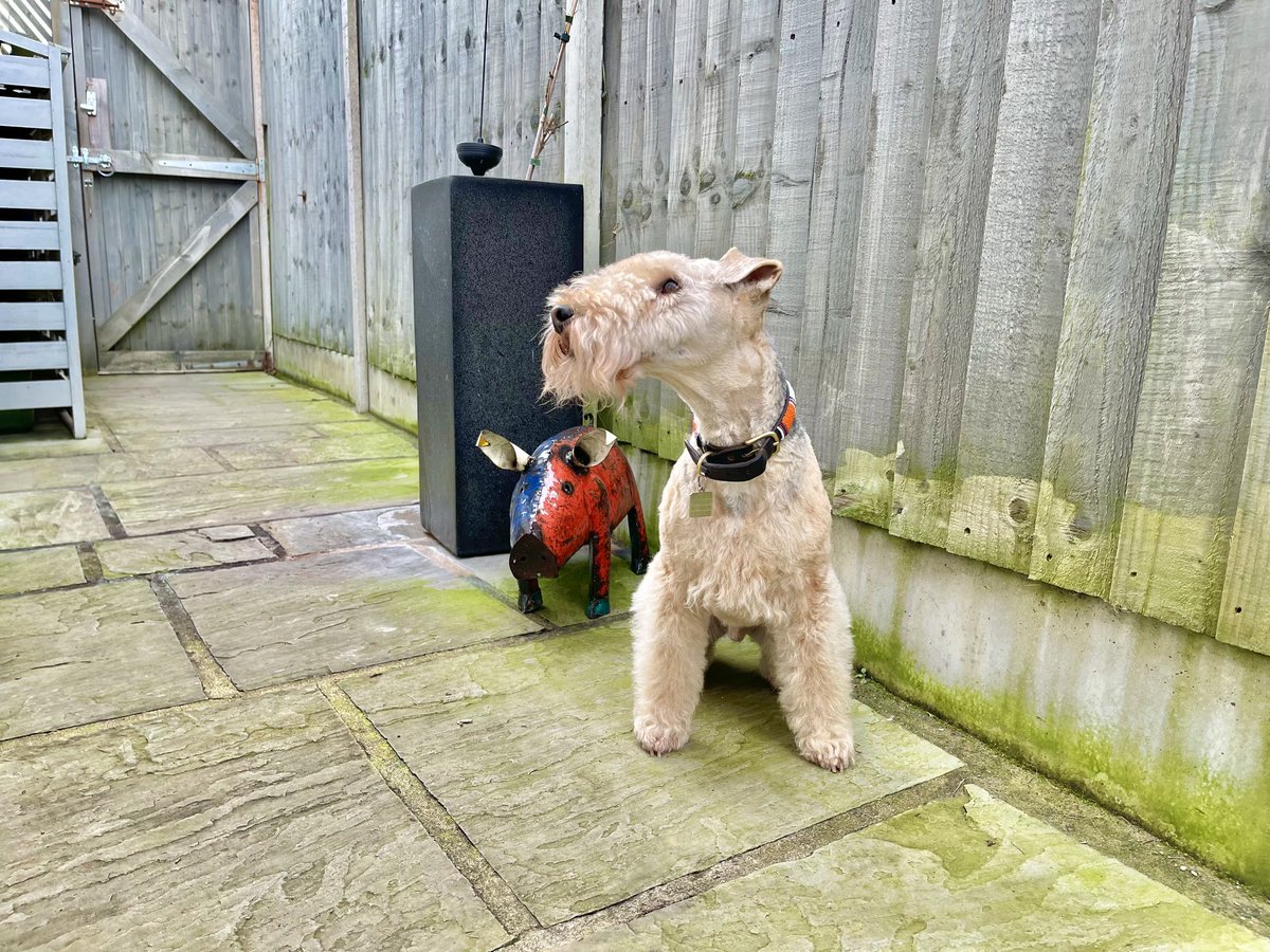 Hello everyone ❤️