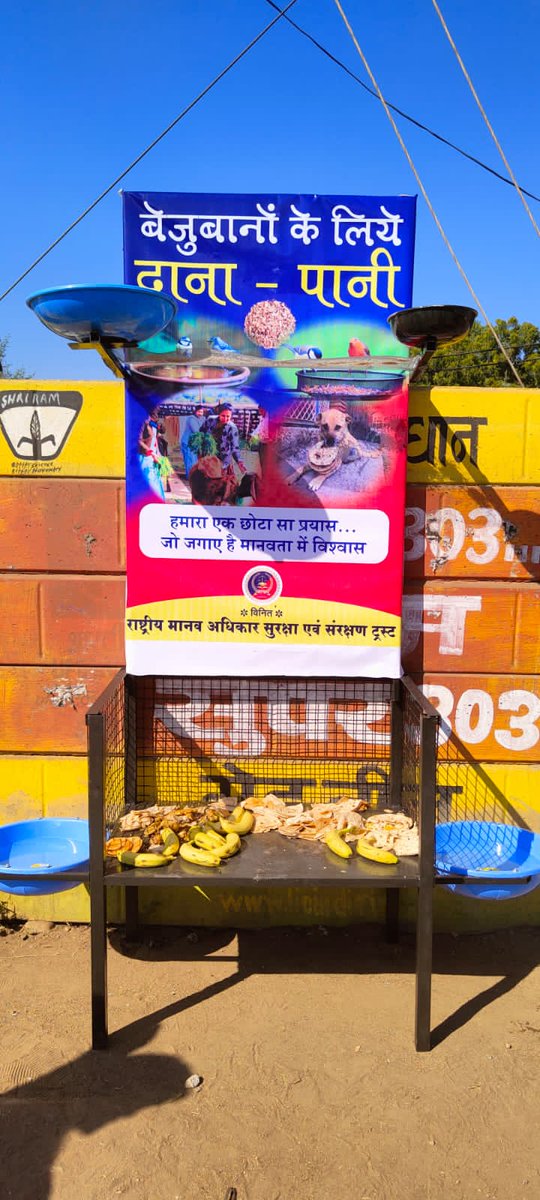 NHRSPT's tweet photo. मध्य प्रदेश राज्य के नीमच जिले के पदाधिकारियों द्वारा अपने निवास पर ध्वज वंदन का कार्यक्रम करने के पश्चात बेजुबान पशु पक्षी एवं जानवरों के लिए दाना पानी और भोजन हेतु बहुत ही शानदार और व्यवस्थित व्यवस्था की गई जो कि हम सब के लिए प्रेरणा स्रोत है मध्य प्रदेश टीम को बहुत-बहुत बधाई। https://t.co/v3SbMxLCcJ