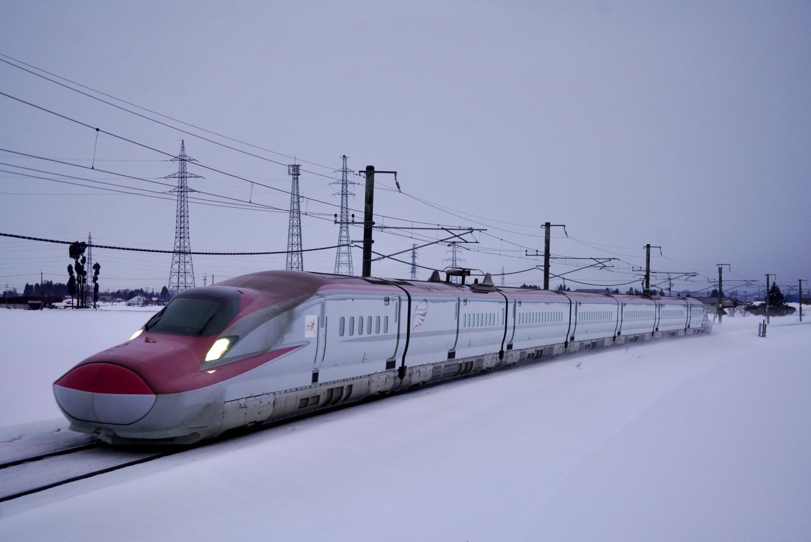 Shiba Com Ryu Twitter