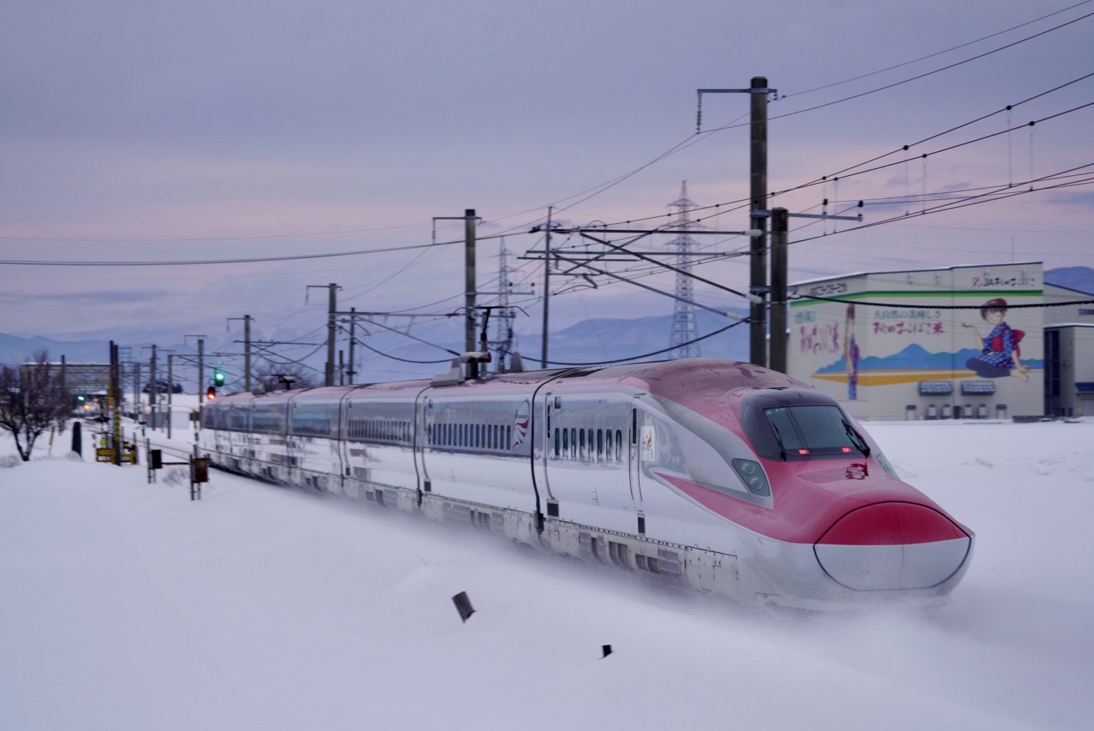 Shiba Com Ryu Twitter