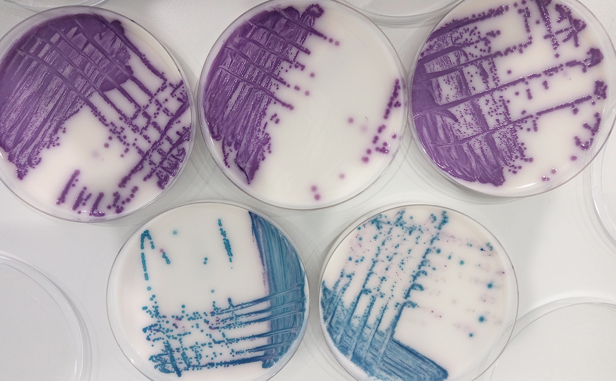 Leartiker tweet media