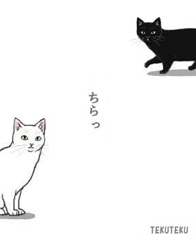 #primenews いろいろ荒れ模様だと聞いて|ω・)チラッ #BSフジ 