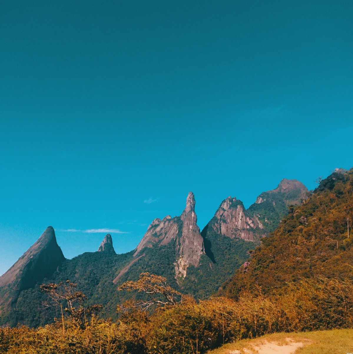 leomonteiro_rio's tweet photo. A gente passa os dias pedindo a Deus para conhecer o mundo, mas, esquece de agradecer por ter nascido num lugar que o mundo todo quer conhecer.
#vemprorio #vemprorj #guapimirim #dedodeDeus https://t.co/nKs5PJnr3V