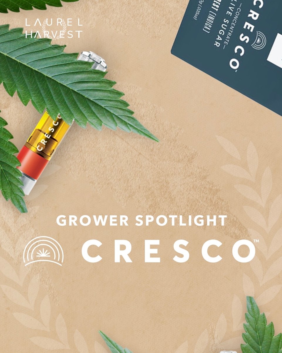 📣 New flower and carts in from @cresco_pa. Reserve online or shop in store. 

• LAURELHARVEST.COM •
 _____
#laurelharvest #montgomeryville #pammj #crescopa