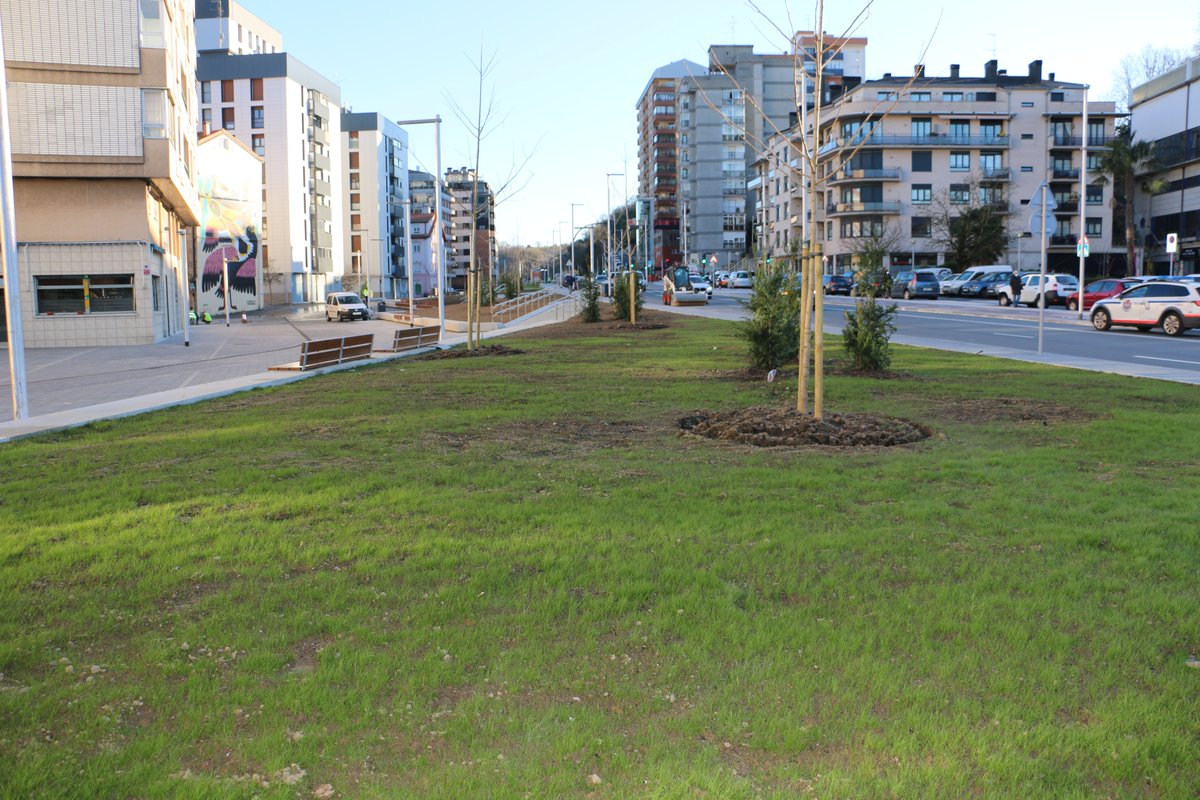 SocialistasDono's tweet photo. Las obras de la travesía de Loiola están en su fase final. Se han plantado 110 árboles en las nuevas zonas verdes creadas. El lunes la concejala de Ecología @PSE_Marisol Garmendia ha invitado al vecindario a una plantación popular

➡️https://t.co/Dz8PNbeKZo https://t.co/qufvdRGvsU