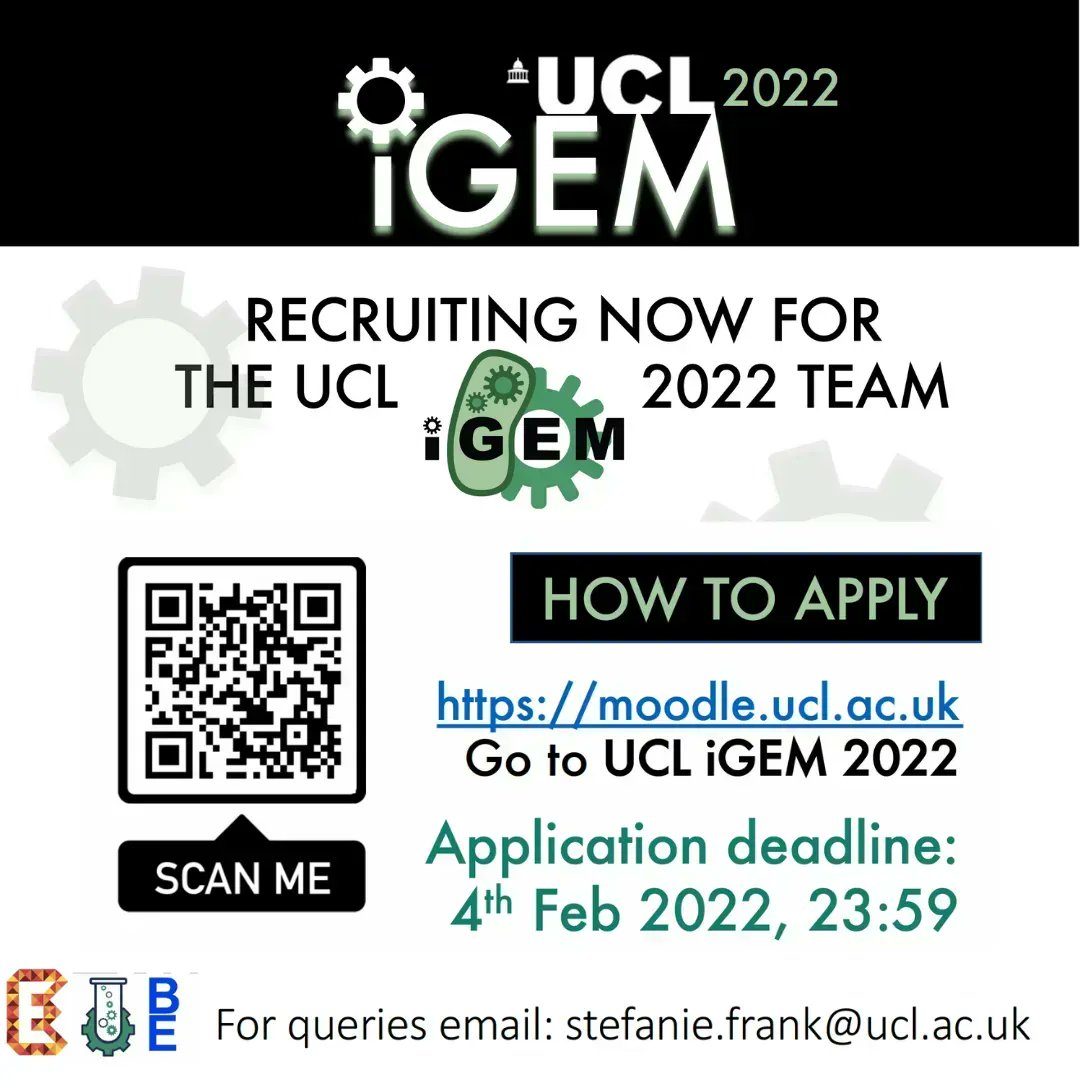 International Development Hub tweet media