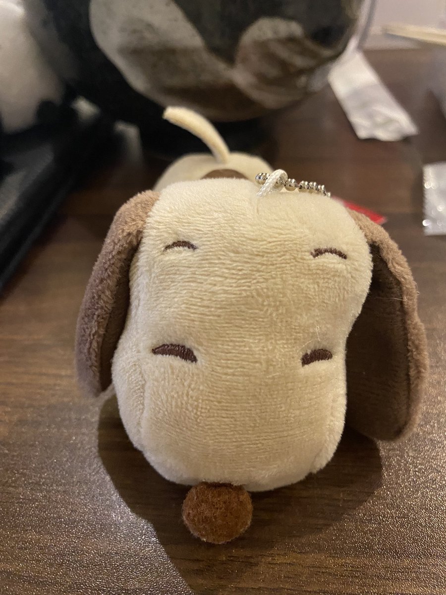 tomorun0627's tweet photo. #お店に入ったら手洗いうがいをする ←このタグでHoneyHoneyに行った時の様子をアップしてます。秋葉原店、横浜店、大宮店、池袋店に出没します

画像の主な出演

いちろう→白スヌーピー
じろう→黒スヌーピー
さぶろう→茶色スヌーピー
あおぼうず→ハチワレ https://t.co/bROjDAh9fW