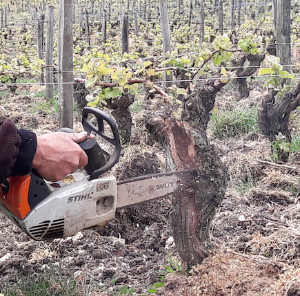 Plan Dépérissement tweet media