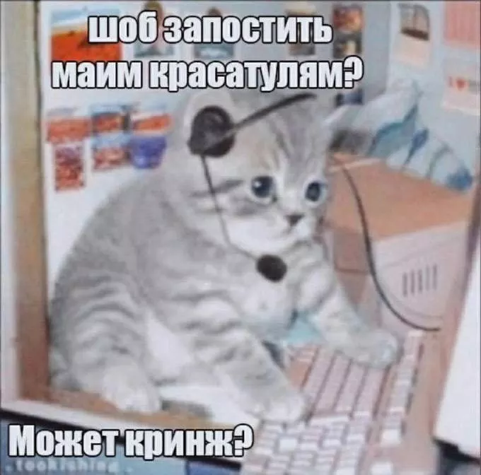 Башкиров шитпостит tweet media
