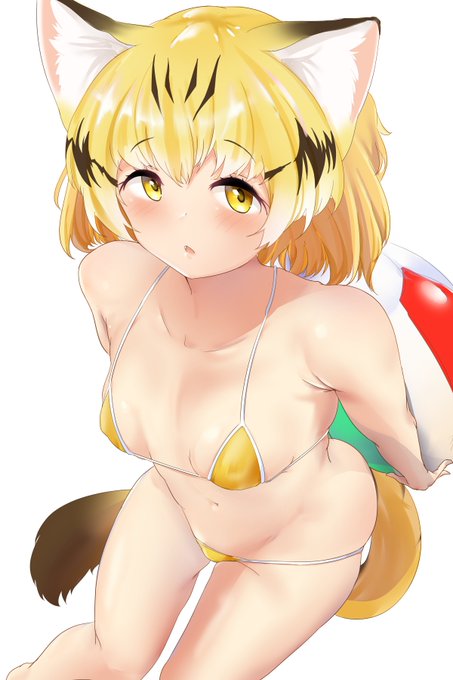 スナネコちゃん 