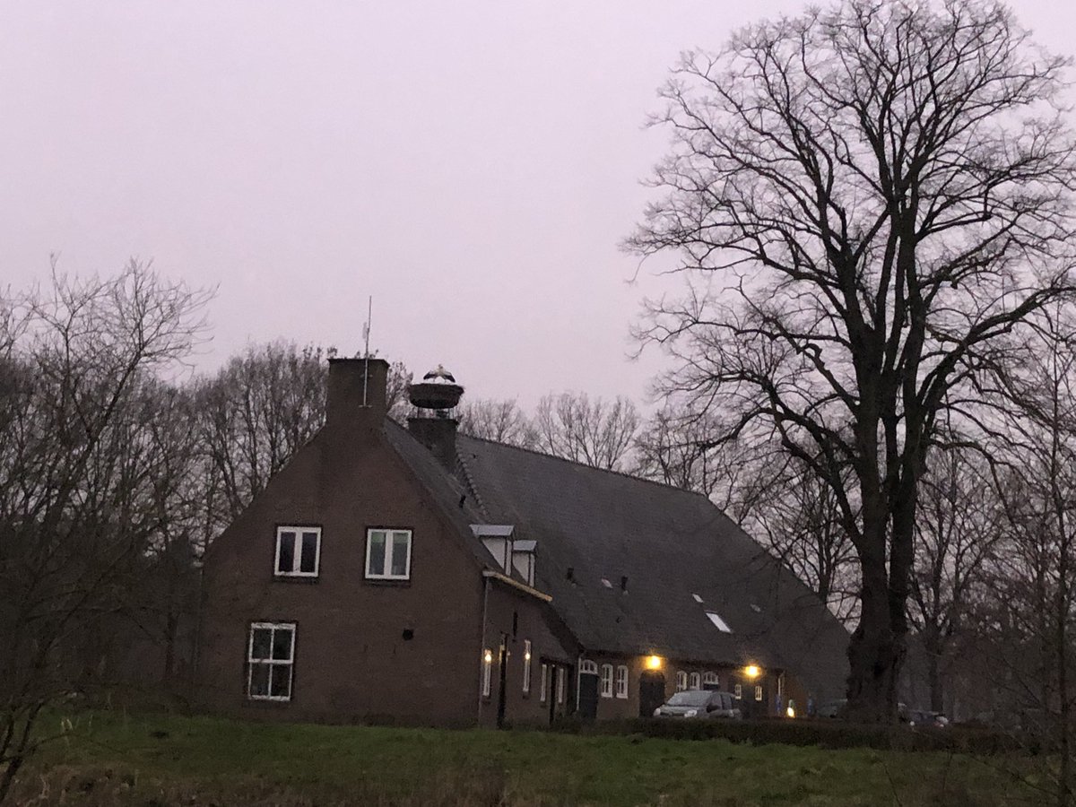 Tieschellekens's tweet photo. Een zwaluw maakt nog geen lente maar twee ooievaren? Ze zijn alweer neergestreken in het #markdal van &Breda Is dat niet een beetje te vroeg @Bosw8rAnneke @BoswachterFrans ? Of hebben die vogels al in de smiezen dat het niks gaat worden met deze winter? https://t.co/LJFXtSVHaR