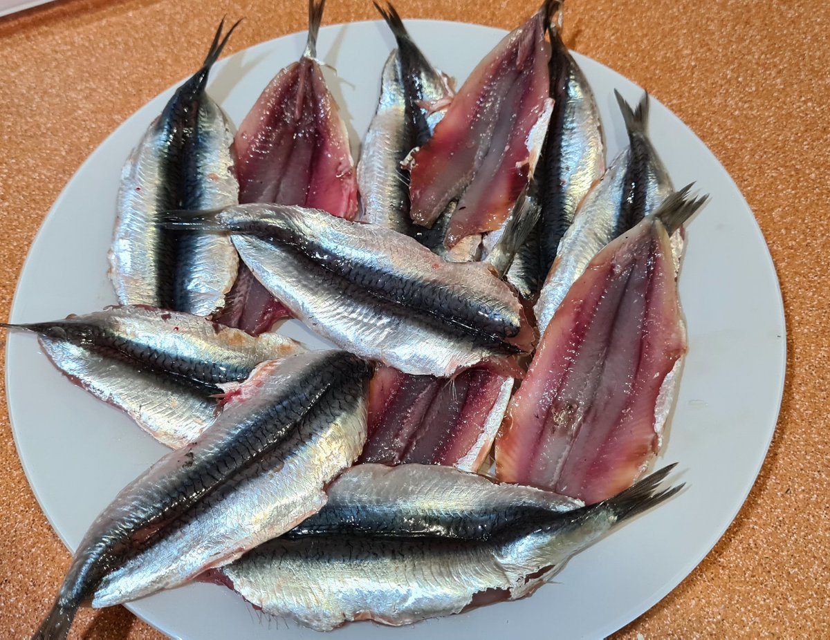 merjmat_'s tweet photo. Bledes de colors del Maresme amb, cansalada ibérica i botifarró de ceba i pinyons.
Ah, i uns seitons.
#BledesDeColors
#Seitons
A sopar i a dormir. https://t.co/FuEcnG6dFB
