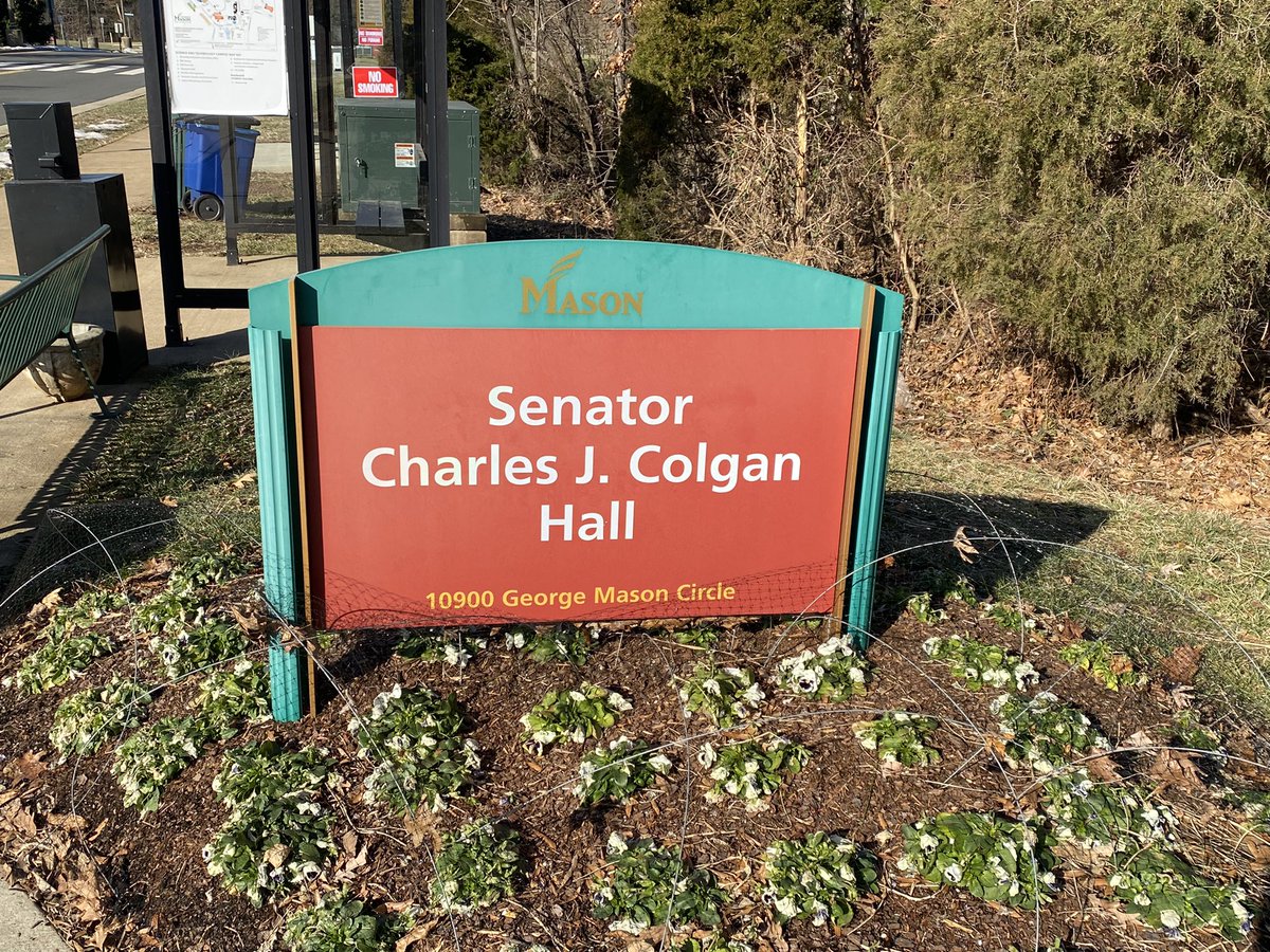 Colgan Gifted/SIGNET tweet media
