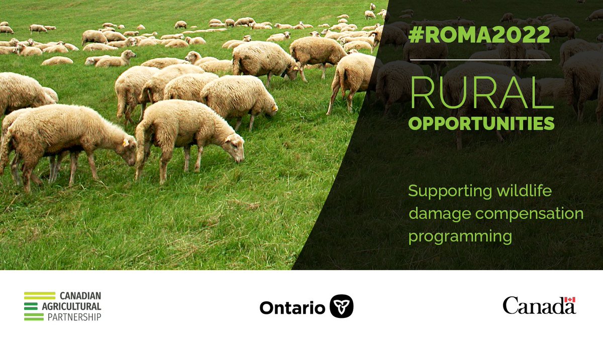 LisaThompsonPC's tweet photo. Starting February 1st, our government is increasing the funding to municipalities to help deliver the important Ontario Wildlife Damage Compensation Program that farmers rely on.
https://t.co/RbSIZ51AtM #ROMA2020 #OntAg https://t.co/zUB88SpxYV