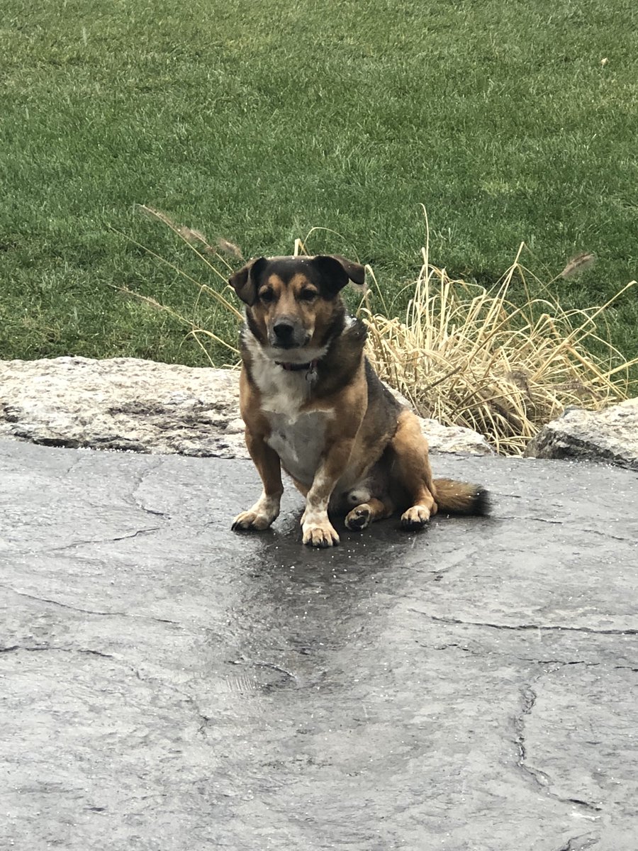 Knies to meet ya🇨🇦 tweet media