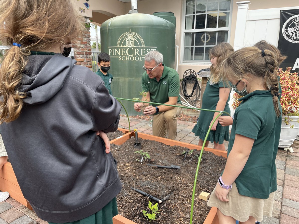 #PCGrade1 planted their TomatoSphere seedlings today! They have 2 groups of seeds, ones that visited the international space station and regular ol’ Earth seeds! They’ll observe how their plants grow and compare the two sets. #PCNurturing #PCOutdoorLearning #PC2033 #PCScience