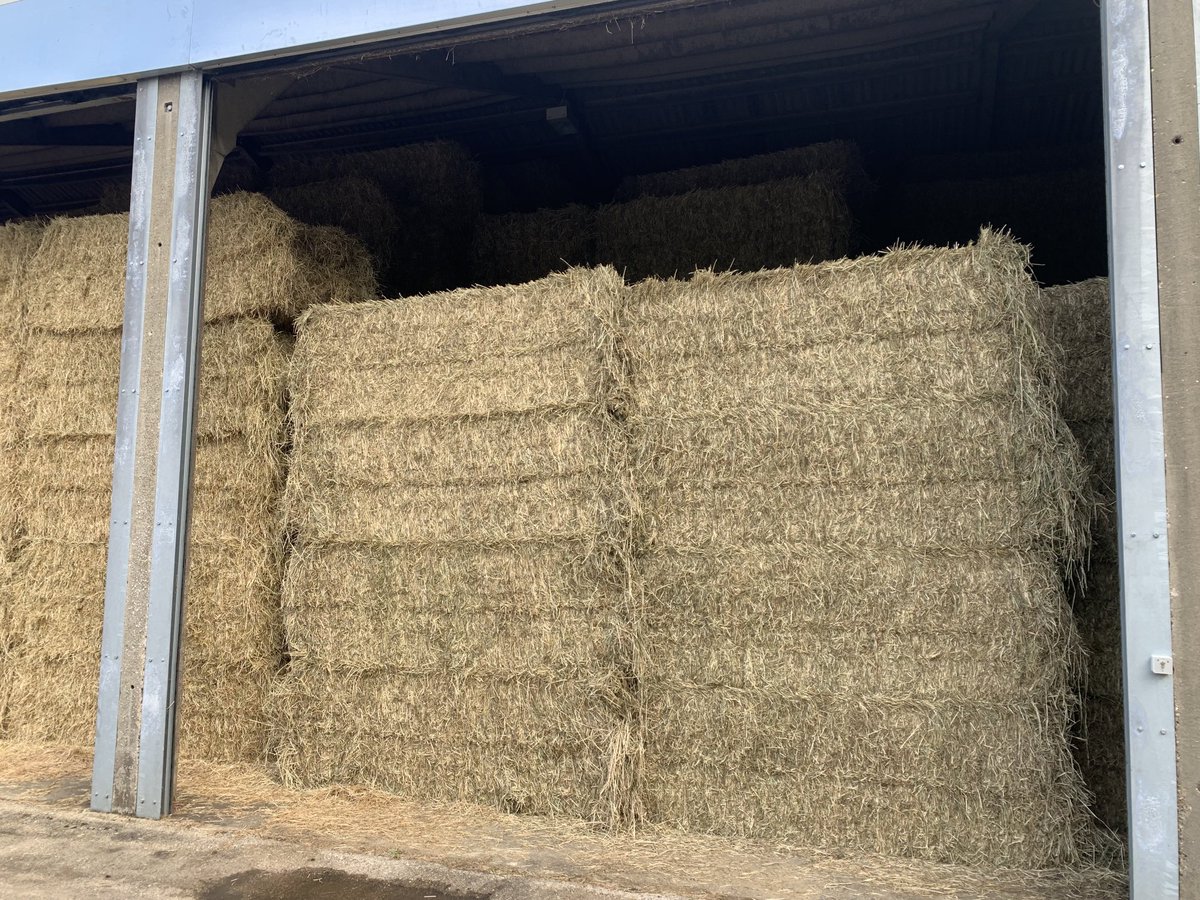 Barn stored big bale ryegrass hay for sale, Weighbridge and sold on weight. DM me if interested. Please share.