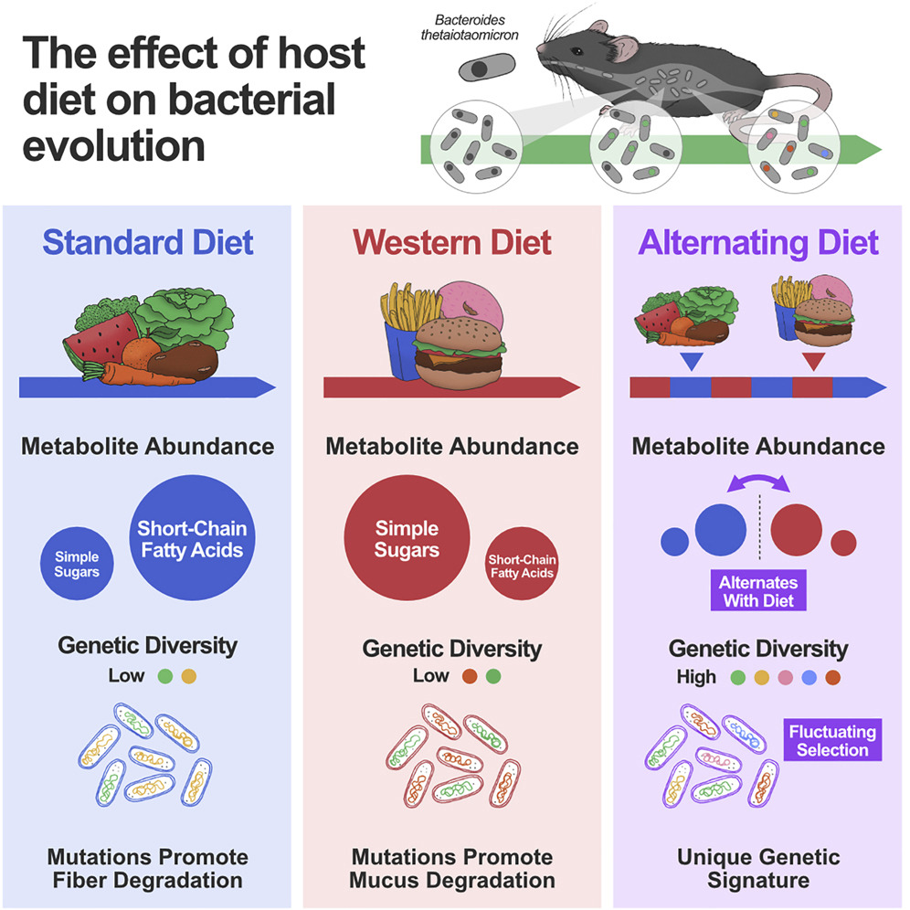 Cell Host & Microbe tweet media