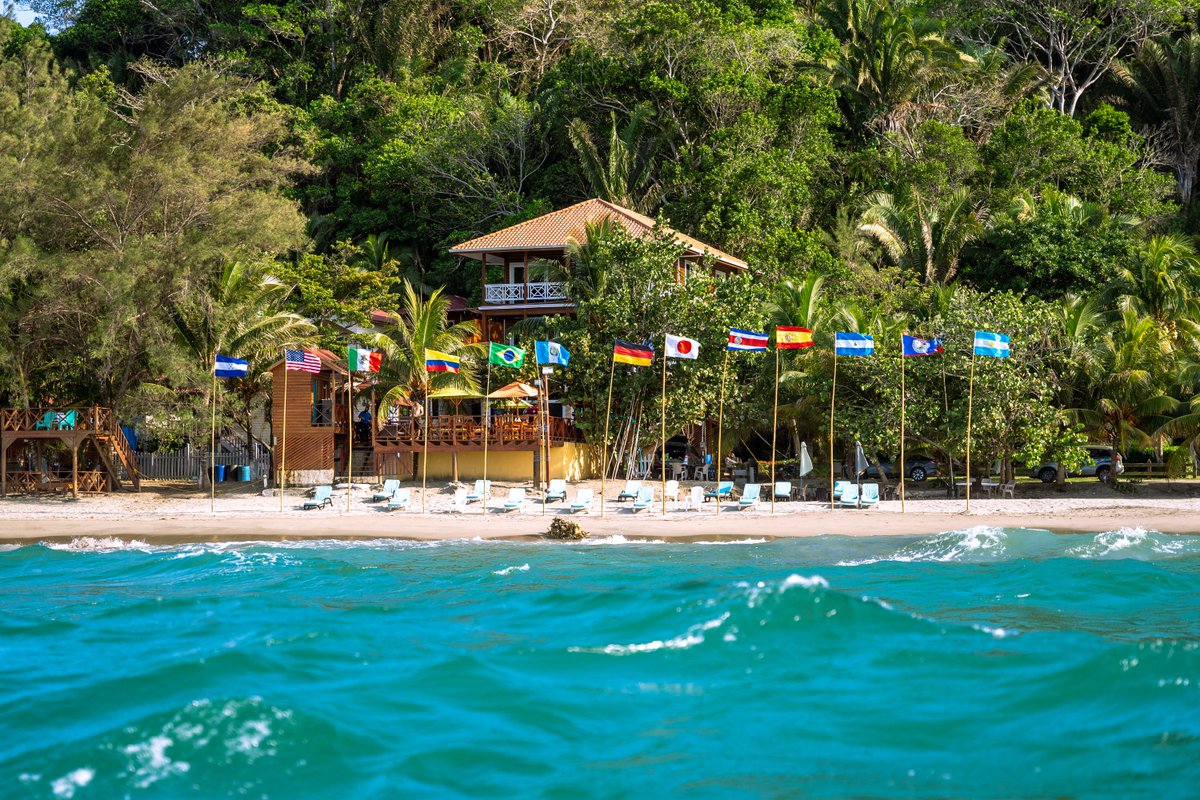 Marca País Honduras tweet media