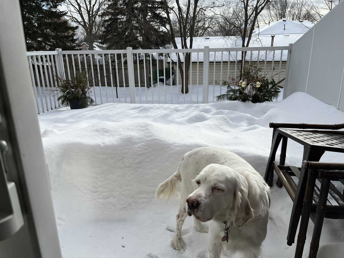 RedSetter's tweet photo. @TennisPodcast Hello from Bentley in snowy Ontario https://t.co/h3ujw1q9S4