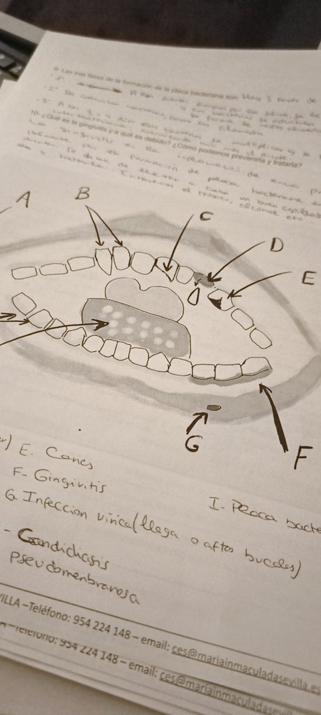Elaboración de materiales con el Apple Pencil+ iPad, con posibilidad de integrar en actividades de clase / pruebas escritas 🧑‍🏫📝 #ipadeneducacion