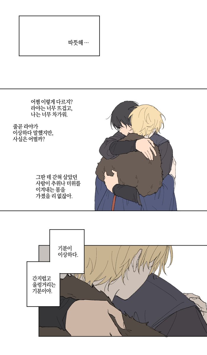 비비 tweet media